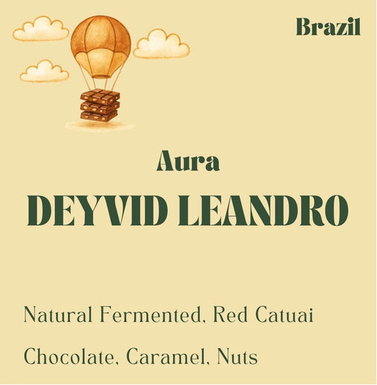 Brazil Cerrado Mineiro coffee beans from Deyvid Leandro, medium-dark roast by Origin Hill Coffee Roasters Toronto.
