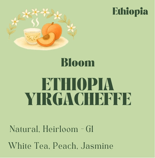 Specialty Ethiopian Yirgacheffe coffee beans from Idido, roasted in Toronto by Origin Hill Coffee Roasters.