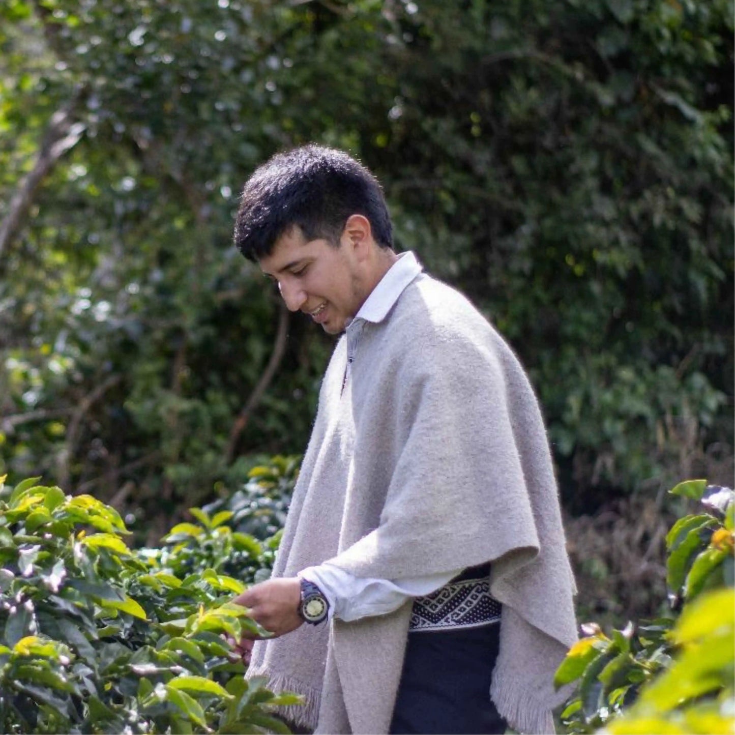 Colombian coffee producer Luis Fernando Benavides at Finca Bellavista in Buesaco, Narino, known for his washed Geisha process, part of Origin Hill Coffee Roasters micro-lot collection roasted in Toronto.