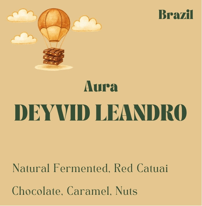 Brazil Cerrado Mineiro coffee beans from Deyvid Leandro, medium-dark roast by Origin Hill Coffee Roasters Toronto.