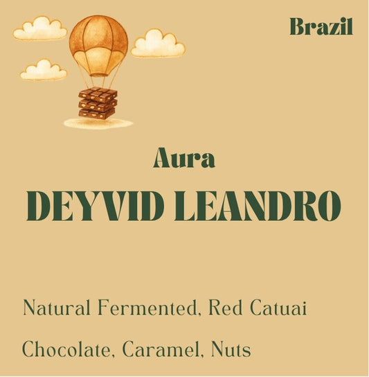 Brazil Cerrado Mineiro coffee beans from Deyvid Leandro, medium-dark roast by Origin Hill Coffee Roasters Toronto.