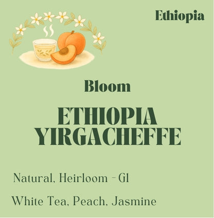 Specialty Ethiopian Yirgacheffe coffee beans from Idido, roasted in Toronto by Origin Hill Coffee Roasters.
