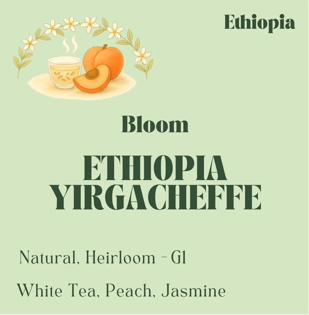 Specialty Ethiopian Yirgacheffe coffee beans from Idido, roasted in Toronto by Origin Hill Coffee Roasters.