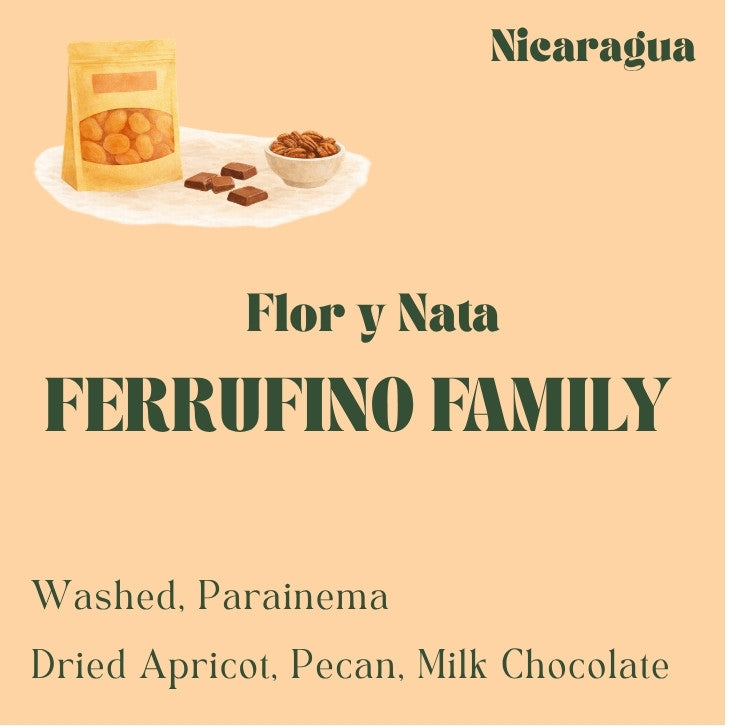 Nicaragua coffee beans from the Ferrufino family, washed Parainema varietal, roasted by Origin Hill Coffee Roasters Toronto.