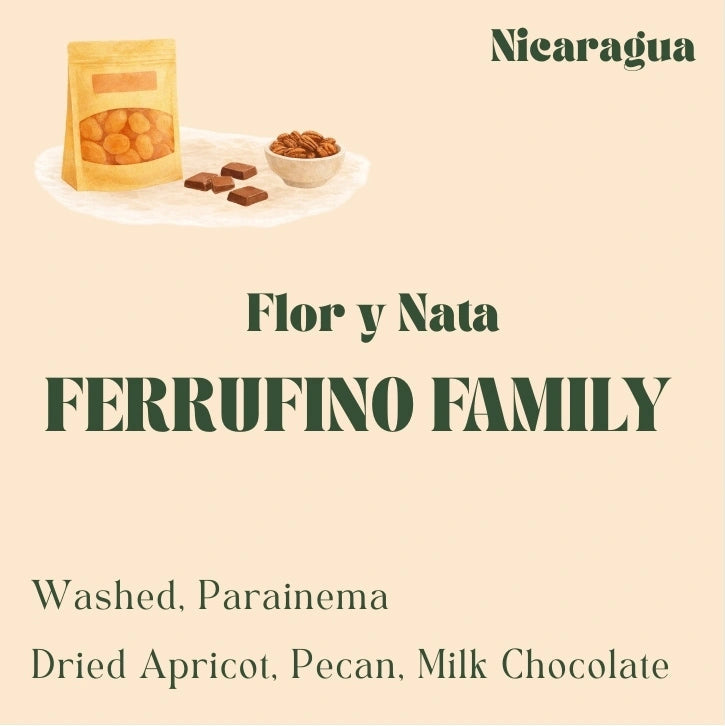 Nicaragua coffee beans from the Ferrufino family, washed Parainema varietal, roasted by Origin Hill Coffee Roasters Toronto.