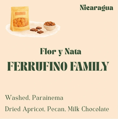 Nicaragua coffee beans from the Ferrufino family, washed Parainema varietal, roasted by Origin Hill Coffee Roasters Toronto.