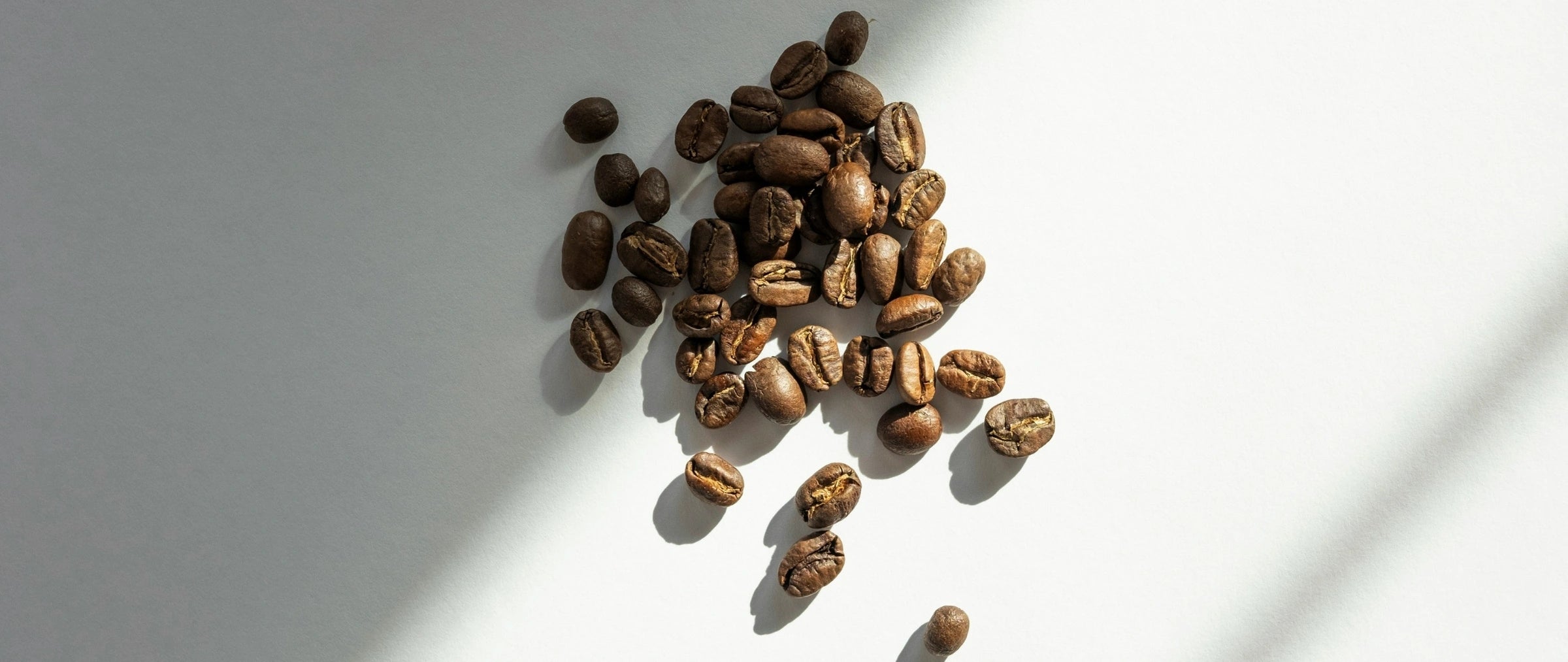 Fresh roasted specialty coffee beans in Toronto - Origin Hill Coffee Roasters