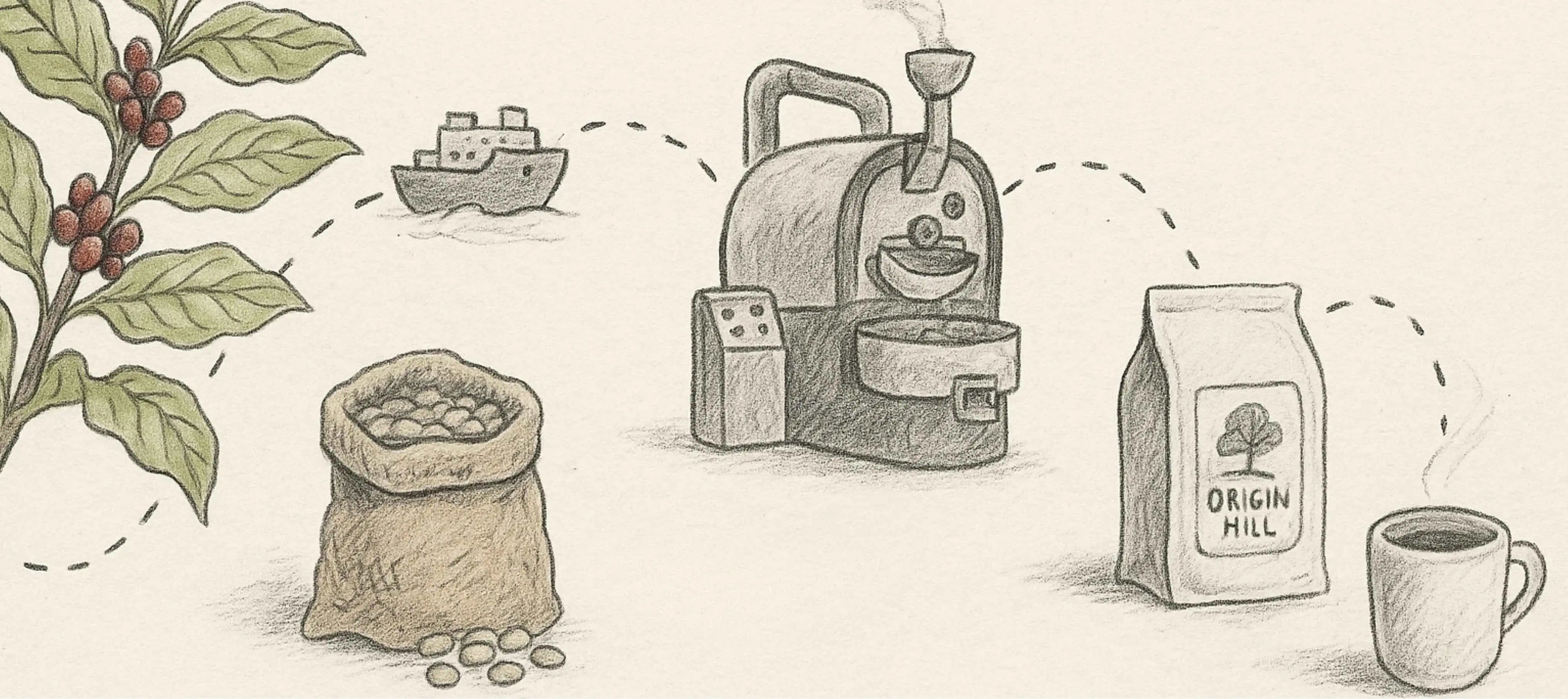 Hand-drawn illustration showing the journey of coffee from farm to cup - coffee plant, shipping, roasting, and a finished cup - representing Origin Hill Coffee Roasters Toronto.