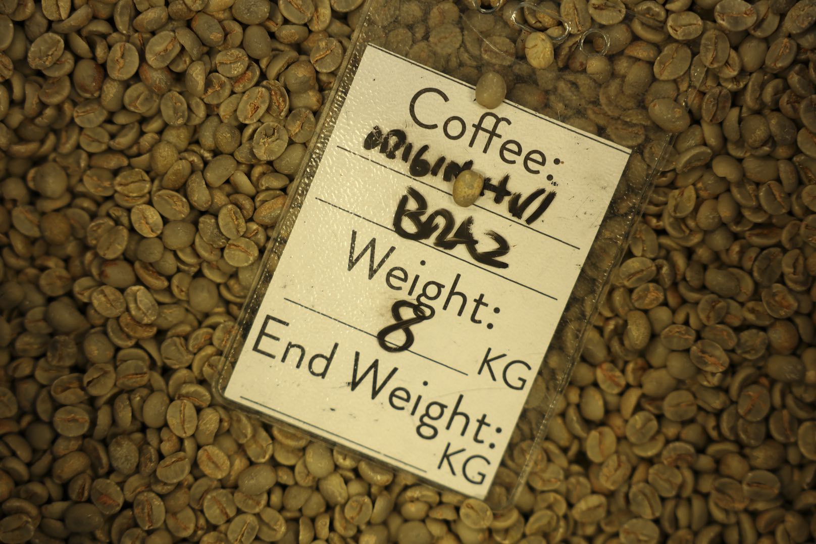 Green coffee beans with a labeled batch card, part of the coffee roasting process at Origin Hill Coffee Roasters