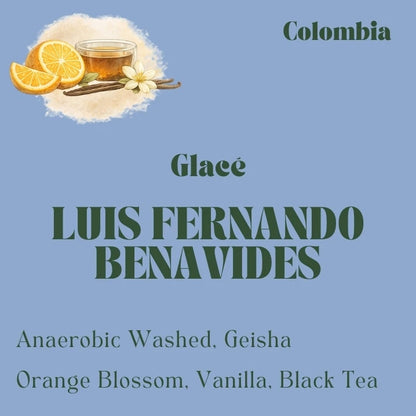 Colombia Geisha coffee beans from Luis Fernando Benavides, washed process, roasted by Origin Hill Coffee Roasters Toronto.