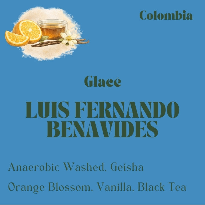 Colombia Geisha coffee beans from Luis Fernando Benavides, washed process, roasted by Origin Hill Coffee Roasters Toronto.