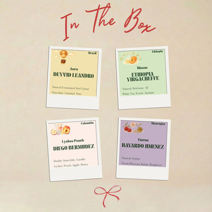 Four coffees in the Origin Hill single-origin tasting box: Brazil Aura, Ethiopia Bloom, Colombia Lychee Peach, and Nicaragua Eterna