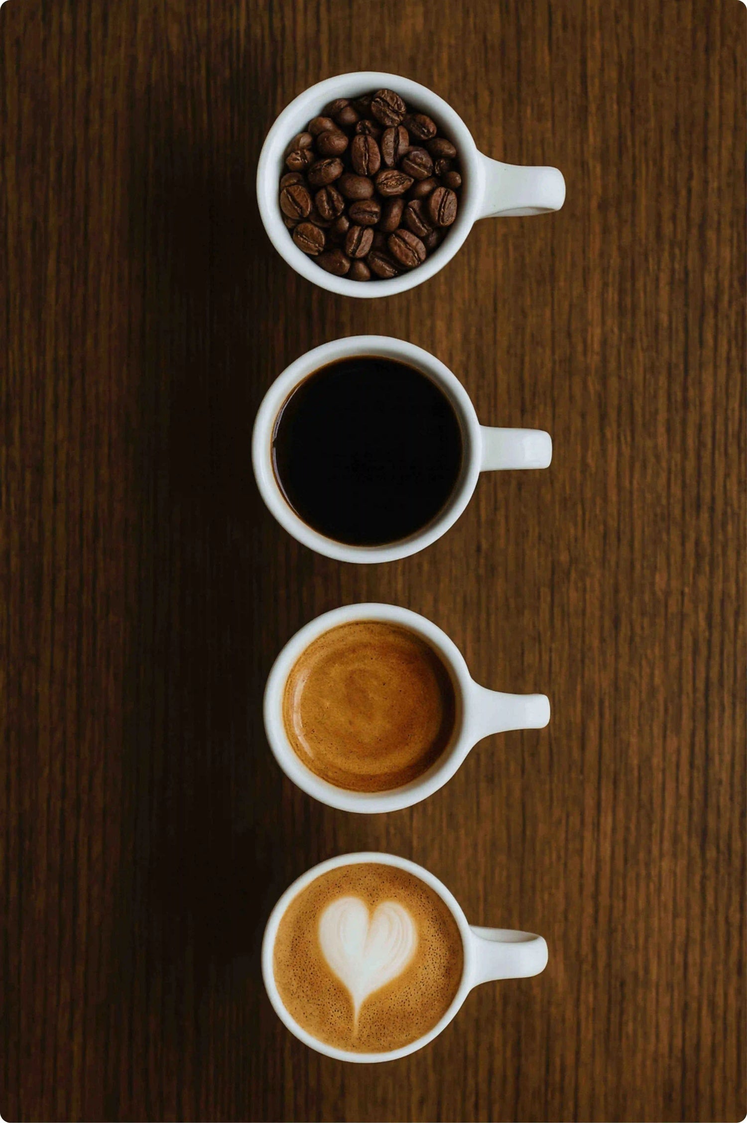Cups showing stages from beans to brew - representing traceable specialty coffee sourced by Origin Hill Coffee Roasters Toronto.